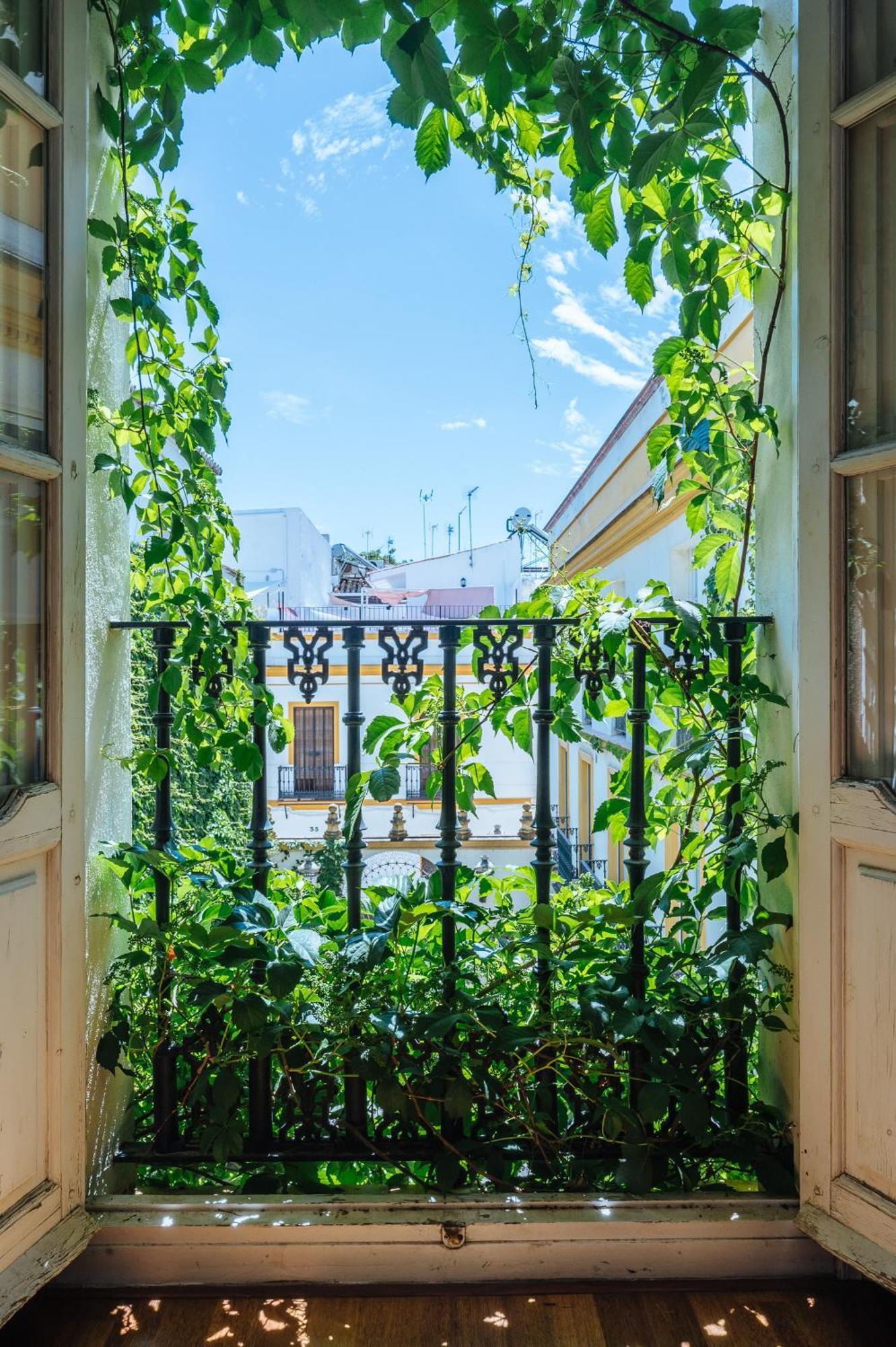 Novalia Home Suite Σεβίλλη Εξωτερικό φωτογραφία